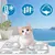 Pet Planet Chiens et Chats TapisRafraichissantSet Tapis Rafraîchissant