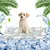Pet Planet Chiens et Chats TapisRafraichissantSet Tapis Rafraîchissant
