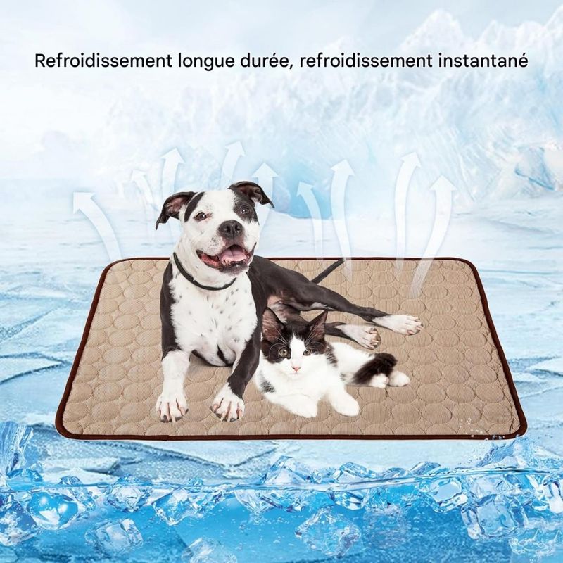 Pet Planet Chiens et Chats CoolingPadSet Tapis rafraîchissant