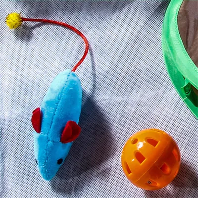 Pet Planet Tunnel pour chat en polyester