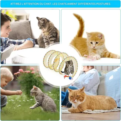 Pet Planet Chats Tunnel Jouet avec Ressort Interieur