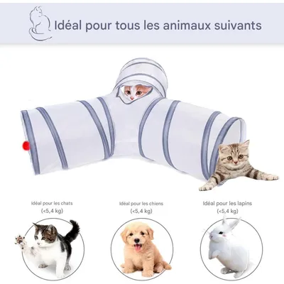 Pet Planet Animaux Multi - Fun Trou de Chat
