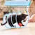 Pet Planet Chats Tunnel Jouet avec Ressort Interieur