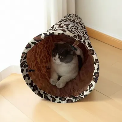 Petopia  Tunnel pour chat