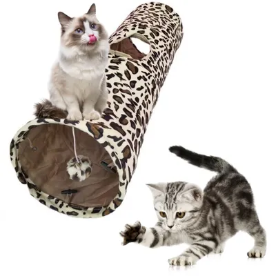 Petopia  Tunnel pour chat Petopia  Tunnel pour chat