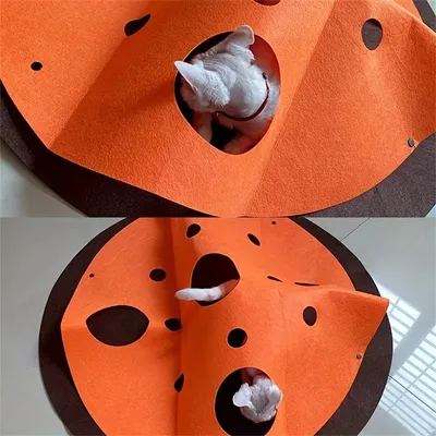 Pet Planet Tapis labyrinthe pour chat