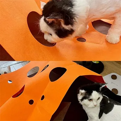 Pet Planet Tapis labyrinthe pour chat