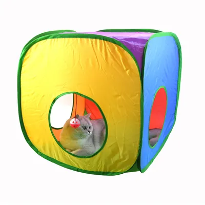Pet Planet Tunnel arc - en - ciel pour chat