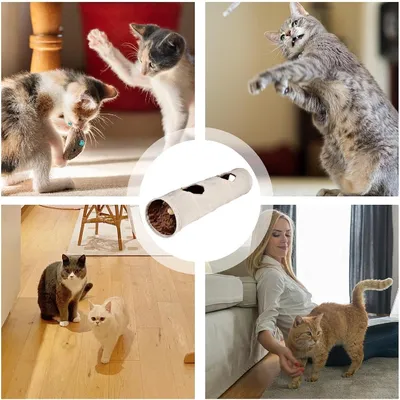 Petopia Tunnel tubulaire pour chat