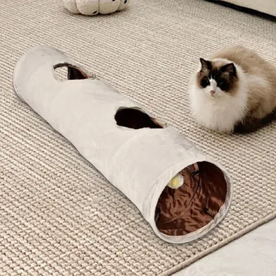 Petopia Tunnel tubulaire pour chat