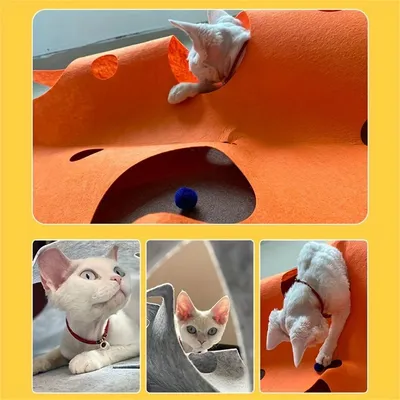 Pet Planet Tapis labyrinthe pour chat