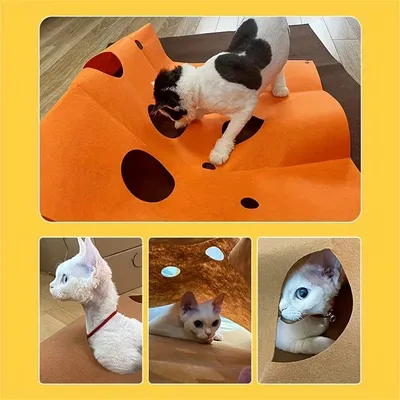 Pet Planet Tapis labyrinthe pour chat