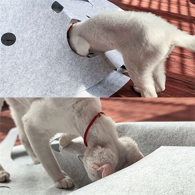 Pet Planet Tapis labyrinthe pour chat