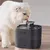 Pet Planet Boîte d'eau automatique pour chats 2.2L