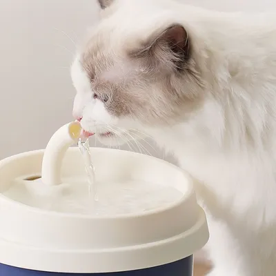 FurryFusion Fontaine à eau pour chat en forme de tasse à café