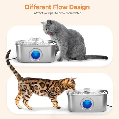 UAMLY Fontaine à eau automatique pour chat en acier inoxydable