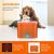 UAMLY Distributeur d'eau automatique à circulation pour chat