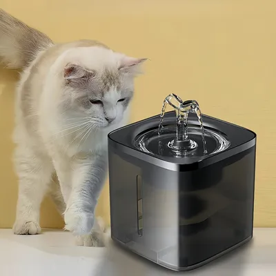 Petopia Filtre pour fontaine à eau pour chats et chiens