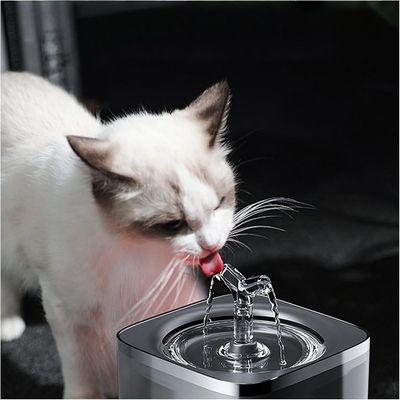 Petopia Fontaine d'eau pour chien et chat