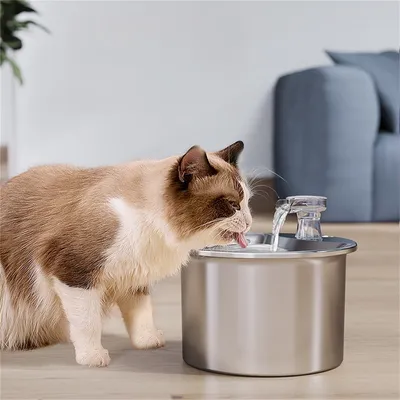 Pet Planet Boîte d'eau circulante en acier inoxydable 304