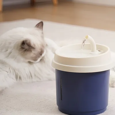 FurryFusion Fontaine à eau pour chat en forme de tasse à café