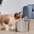 Pet Planet Boîte d'eau circulante en acier inoxydable 304