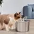 Pet Planet Boîte d'eau circulante en acier inoxydable 304