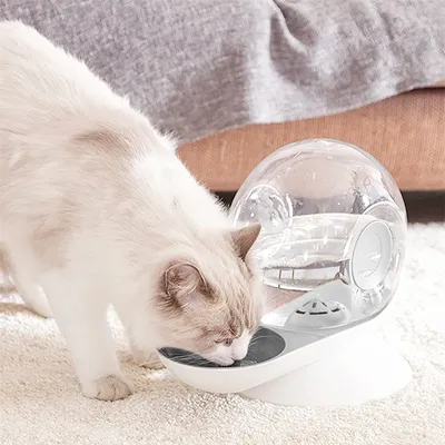 IntiMeg Fuente de agua automática para gatos y perros