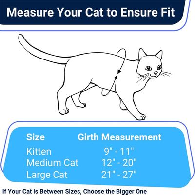 IntiMeg Harnais et Laisse Anti - Évasion pour Chat