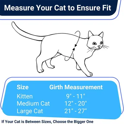 IntiMeg Harnais et Laisse Anti - Évasion pour Chat