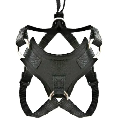 IntiMeg Harnais et Laisse Anti - Évasion pour Chat