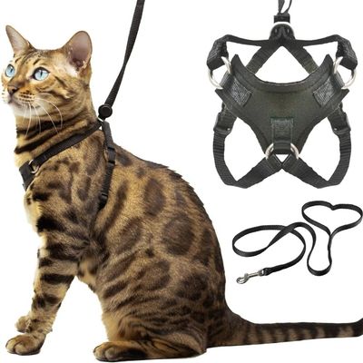 IntiMeg Harnais et Laisse Anti - Évasion pour Chat