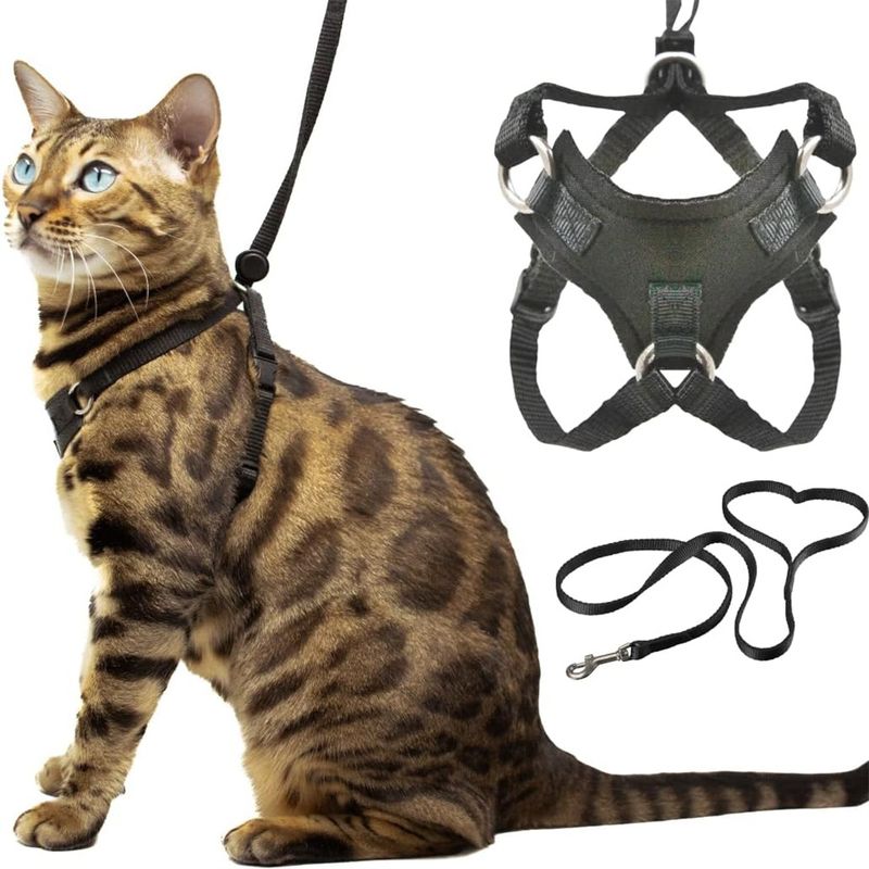 IntiMeg Harnais et Laisse Anti - Évasion pour Chat