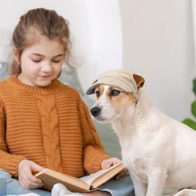 IntiMeg Casquette de baseball pour chien