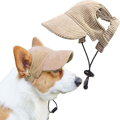 IntiMeg Casquette de baseball pour chien