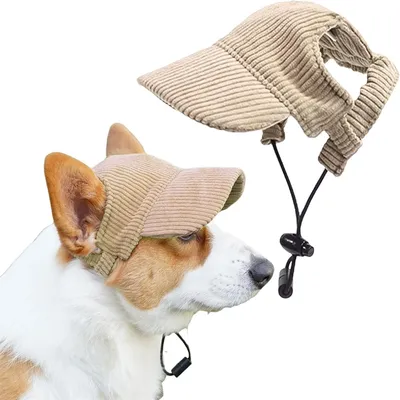 IntiMeg Casquette de baseball pour chien
