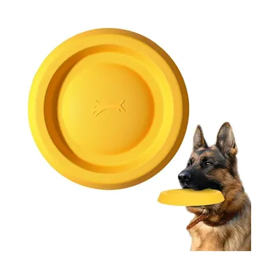 Petopia Frisbee pour chien