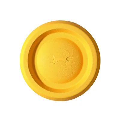 Petopia Frisbee pour chien
