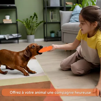 Pet Planet Chiens JouetsSet Jouet en Latex Interactif