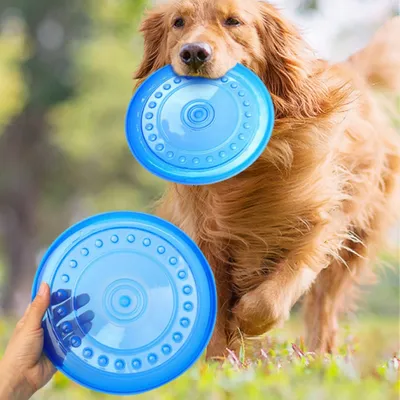 Petopia Lot de 2 frisbees pour chien