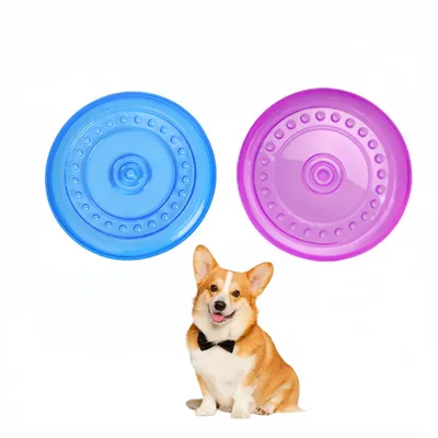 Petopia Lot de 2 frisbees pour chien