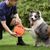 IntiMeg Jouet pour chien Frisbee