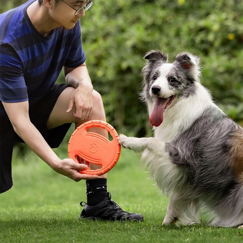 IntiMeg Jouet pour chien Frisbee