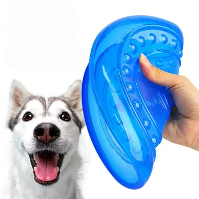 Petopia Lot de 2 frisbees pour chien