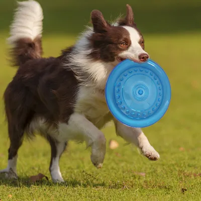 Petopia Lot de 2 frisbees pour chien
