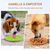 IntiMeg Frisbee pour chien