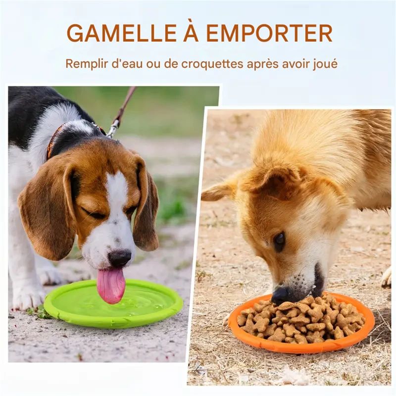 IntiMeg Frisbee pour chien