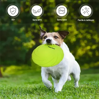 IntiMeg Frisbee pour chien