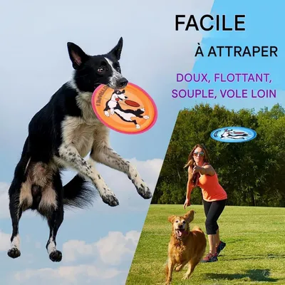 Pet Planet Chiens Jeu De Vol À Trois Disques