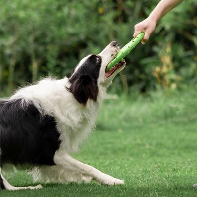 Petopia Frisbee pour chien